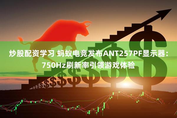 炒股配资学习 蚂蚁电竞发布ANT257PF显示器：750Hz刷新率引领游戏体验
