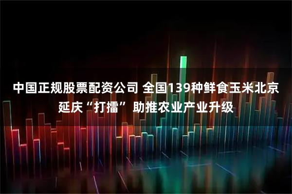 中国正规股票配资公司 全国139种鲜食玉米北京延庆“打擂” 助推农业产业升级