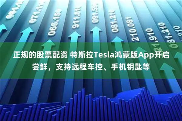 正规的股票配资 特斯拉Tesla鸿蒙版App开启尝鲜，支持远程车控、手机钥匙等