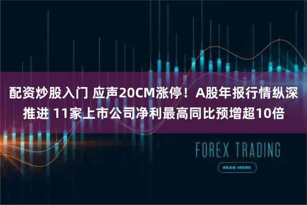 配资炒股入门 应声20CM涨停!A股年报行情纵深推进 11家上市公司净利最高同比预增超10倍