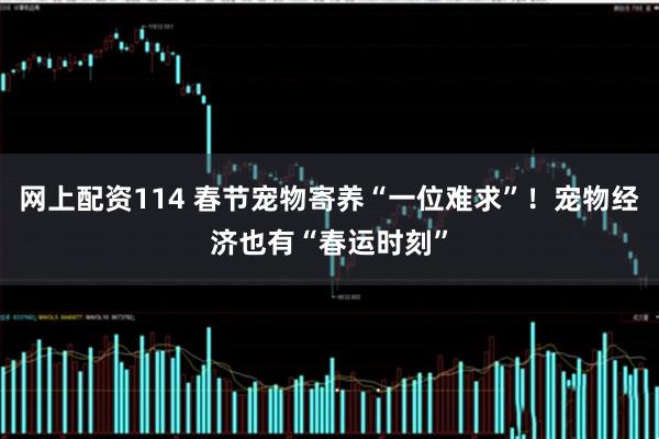 网上配资114 春节宠物寄养“一位难求”！宠物经济也有“春运时刻”