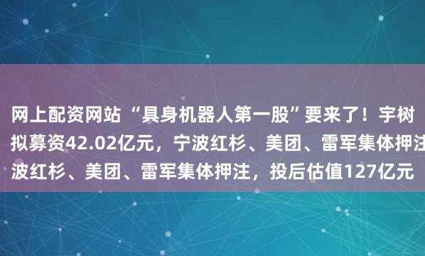 网上配资网站 “具身机器人第一股”要来了!宇树科技IPO申请获受理,拟募资42.02亿元,宁波红杉、美团、雷军集体押注,投后估值127亿元