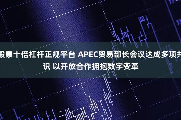 股票十倍杠杆正规平台 APEC贸易部长会议达成多项共识 以开放合作拥抱数字变革